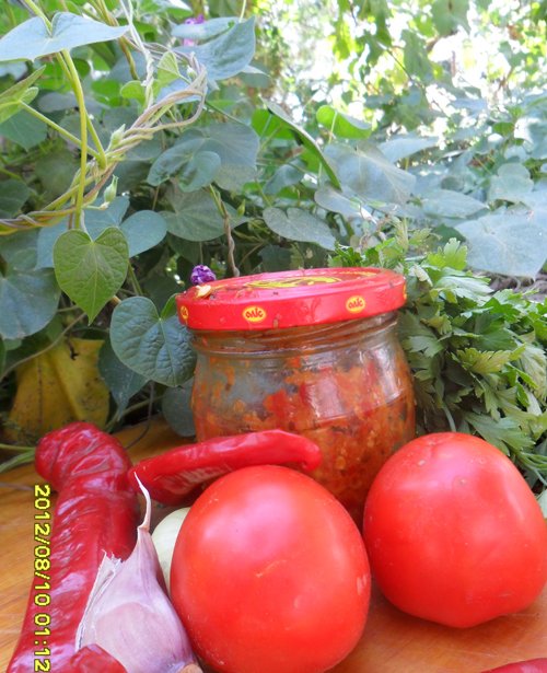 Аджика кавказская