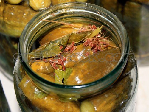огурцы квашеные