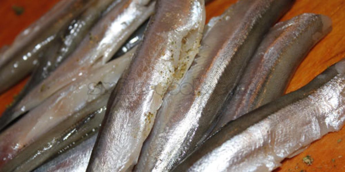 fresh capelin