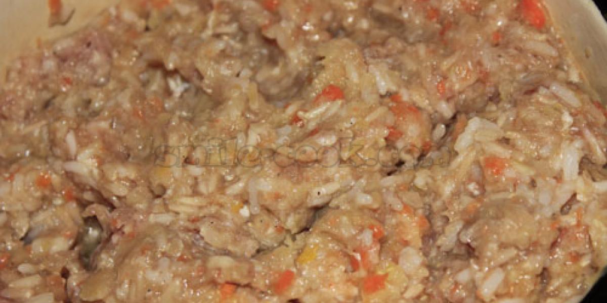 stuffing for lazy stuffed cabbage