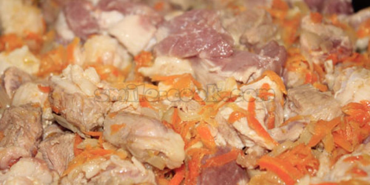 meat with carrots and onions