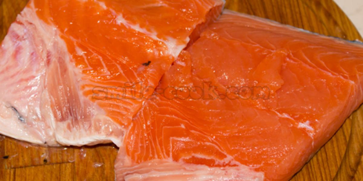 salmon