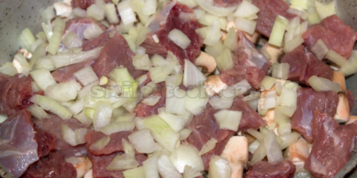 layer of onions and meat