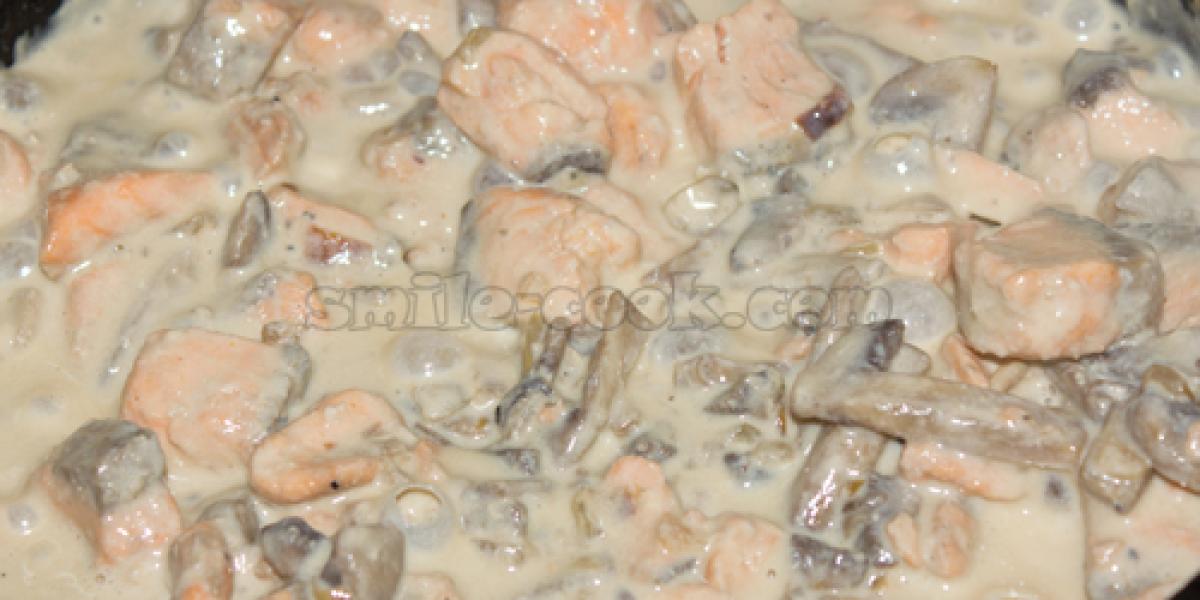 cream sauce with salmon and mushrooms