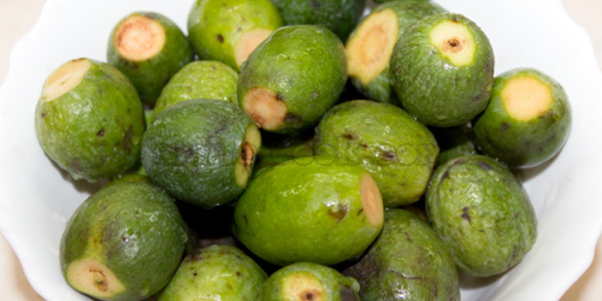 feijoa