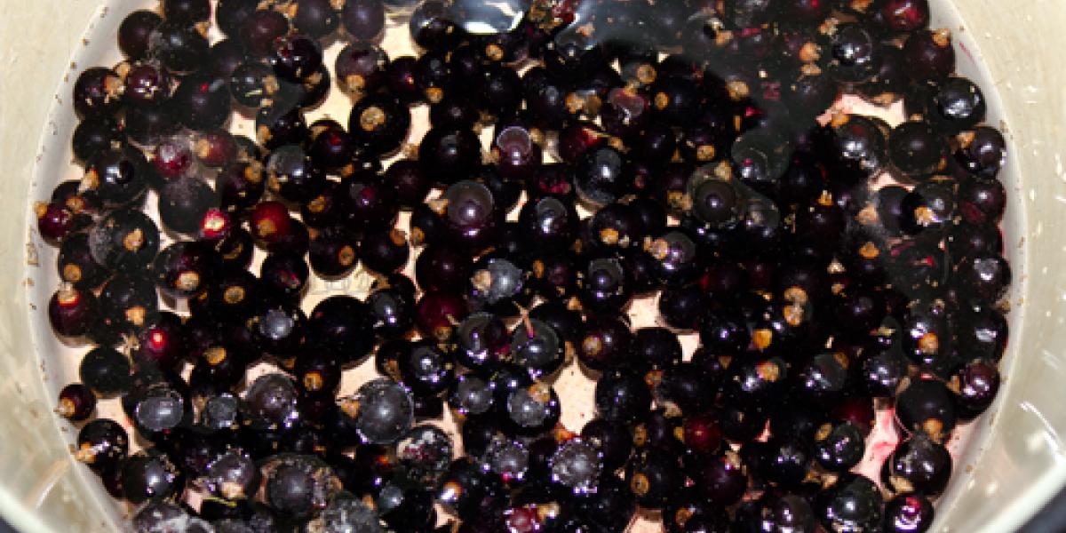 black currants