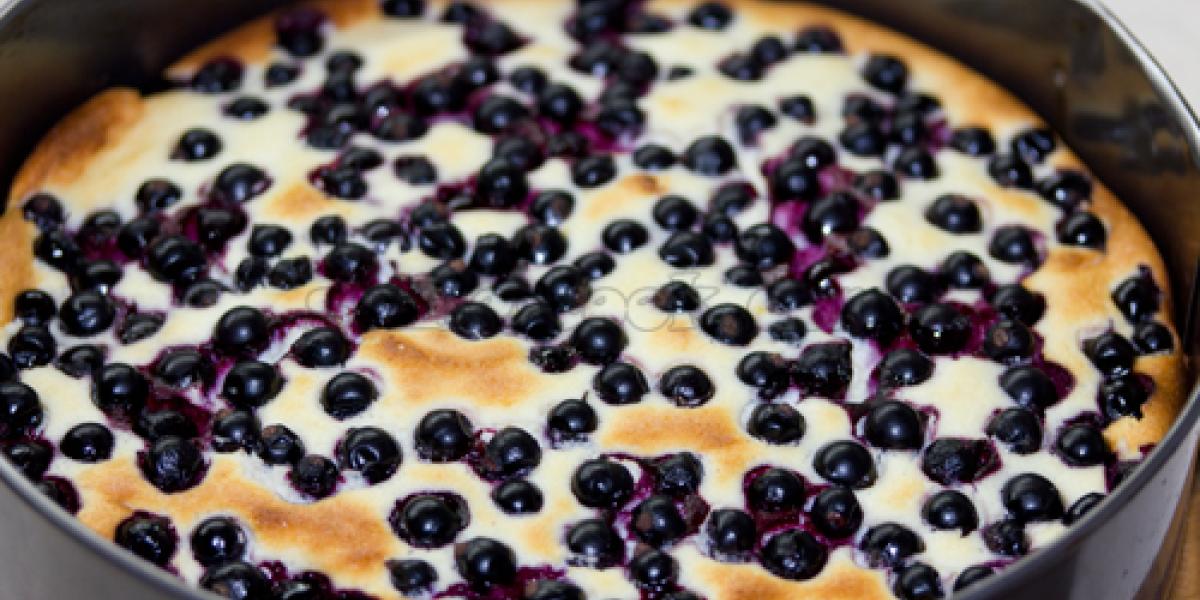 cottage cheese and black currant pie