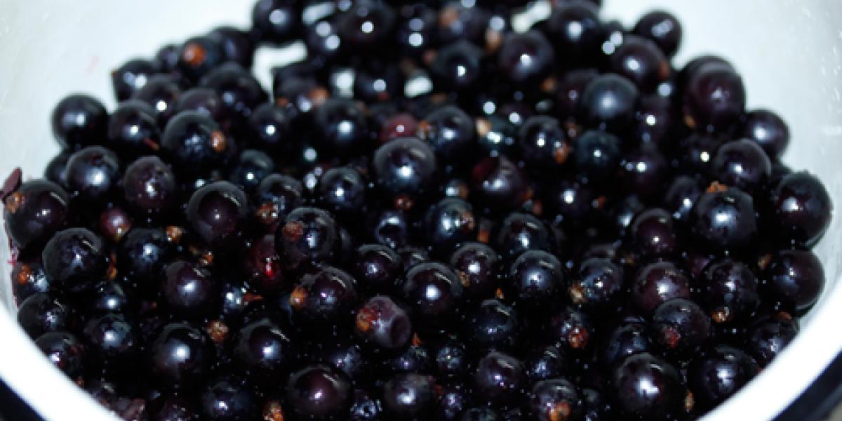 black currants