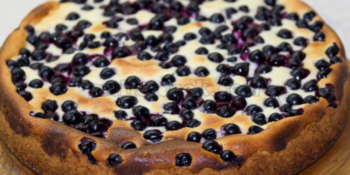 cottage cheese and black currant pie