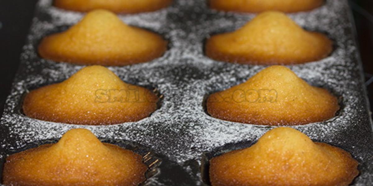 madeleines in shape