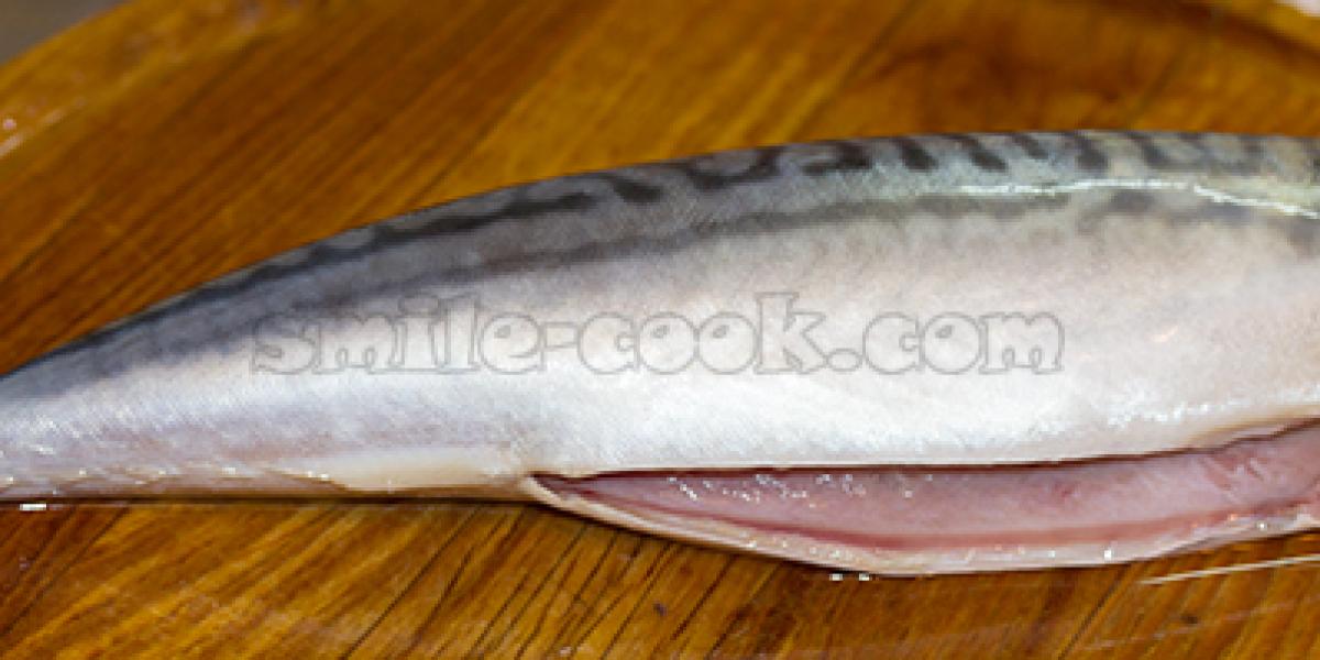 mackerel