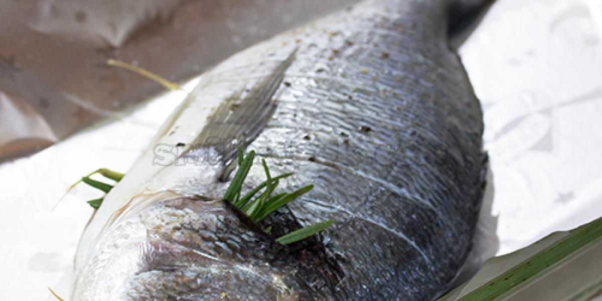 fish with rosemary